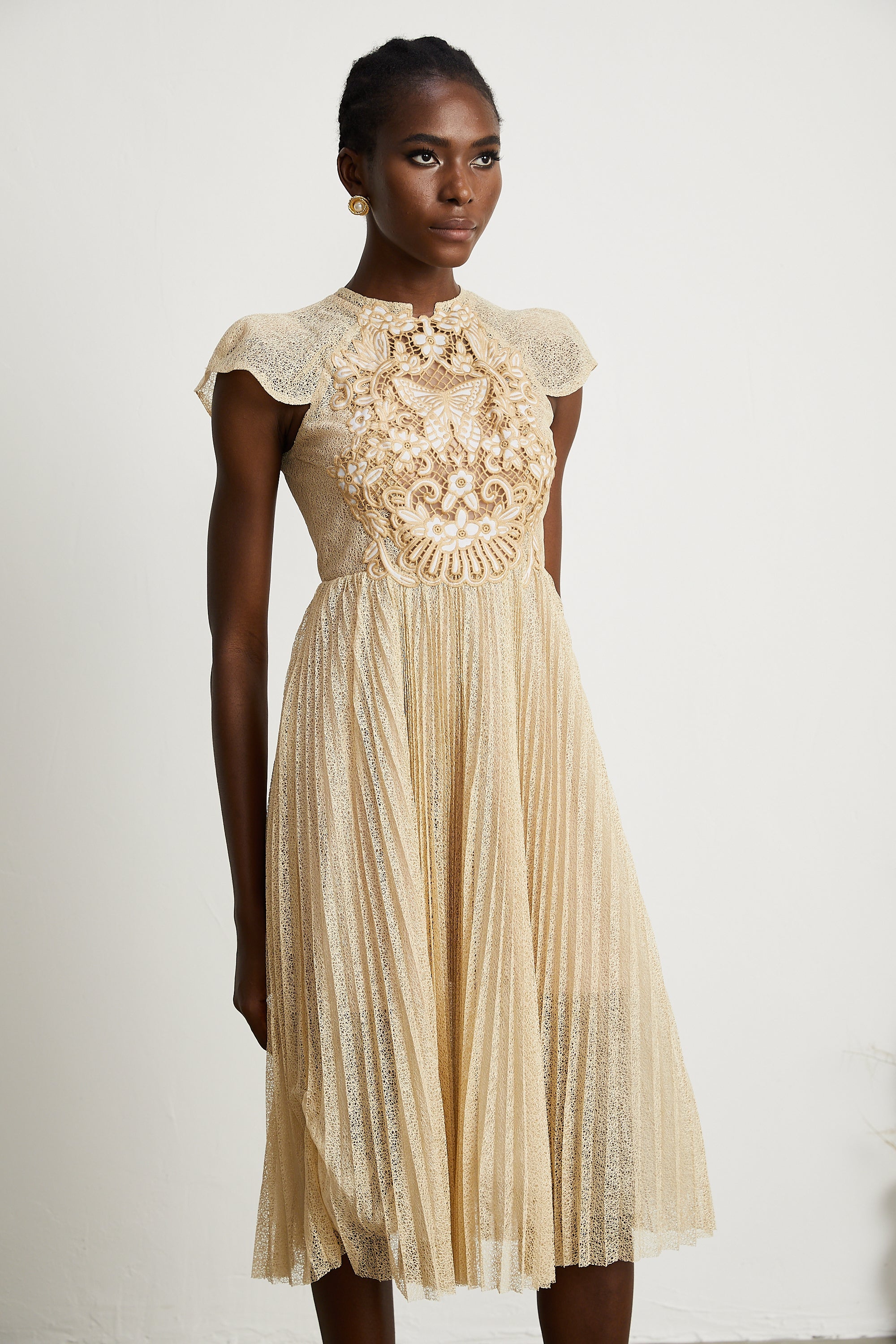 Nerissa embroidered pleated midi dress (Final Sale-US Only)
