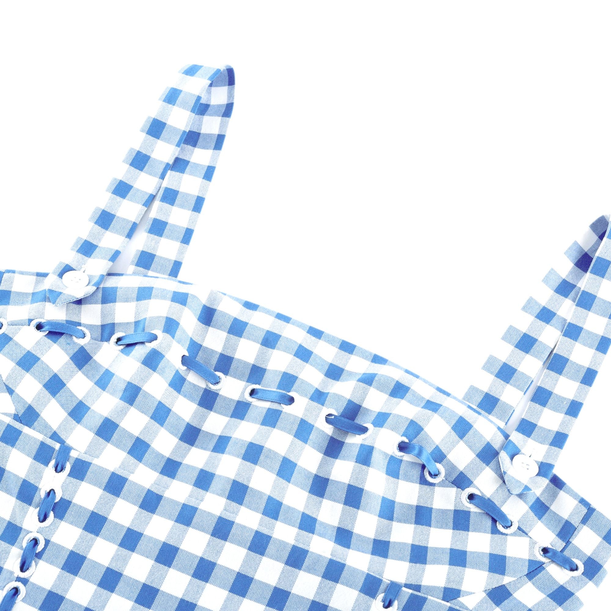 Diane gingham midi dress (Final Sale)