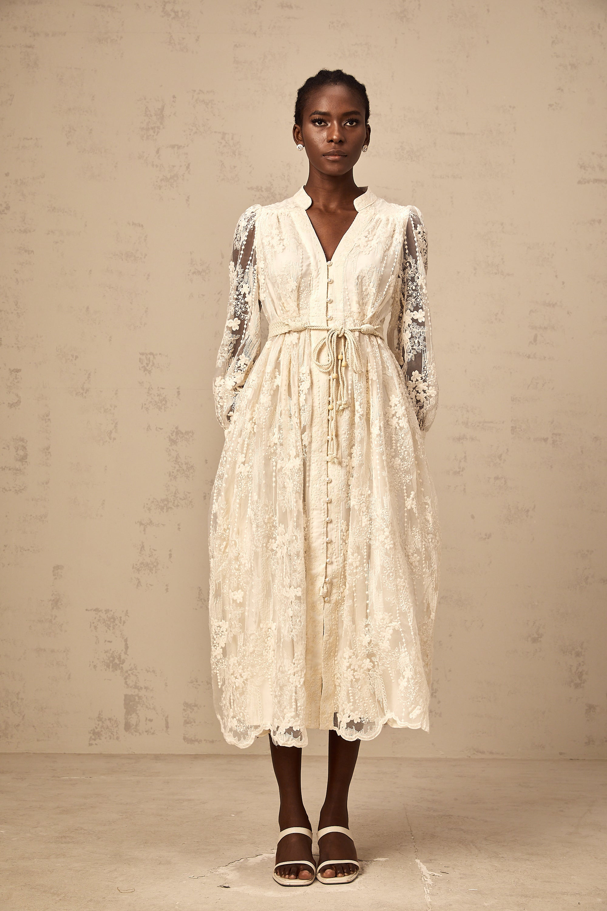 Roxane neutrals lace-embroidered midi dress (Final Sale-US Only)