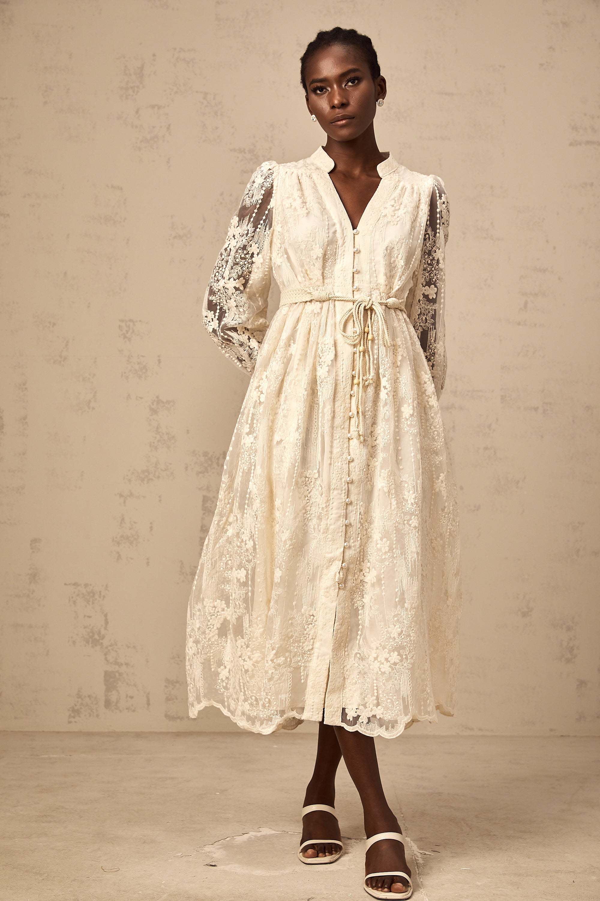 Roxane neutrals lace-embroidered midi dress (Final Sale-US Only)