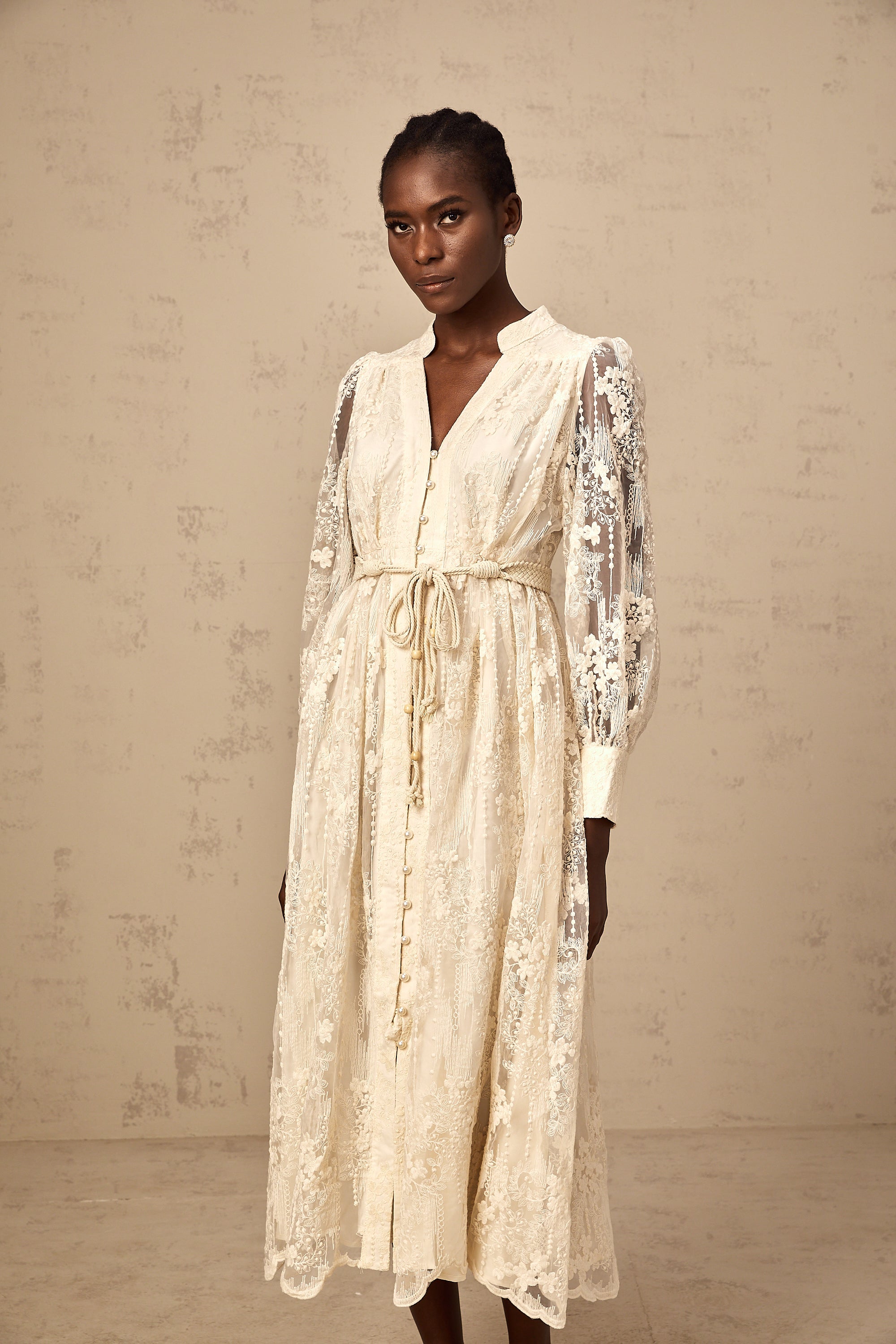 Roxane neutrals lace-embroidered midi dress (Final Sale-US Only)