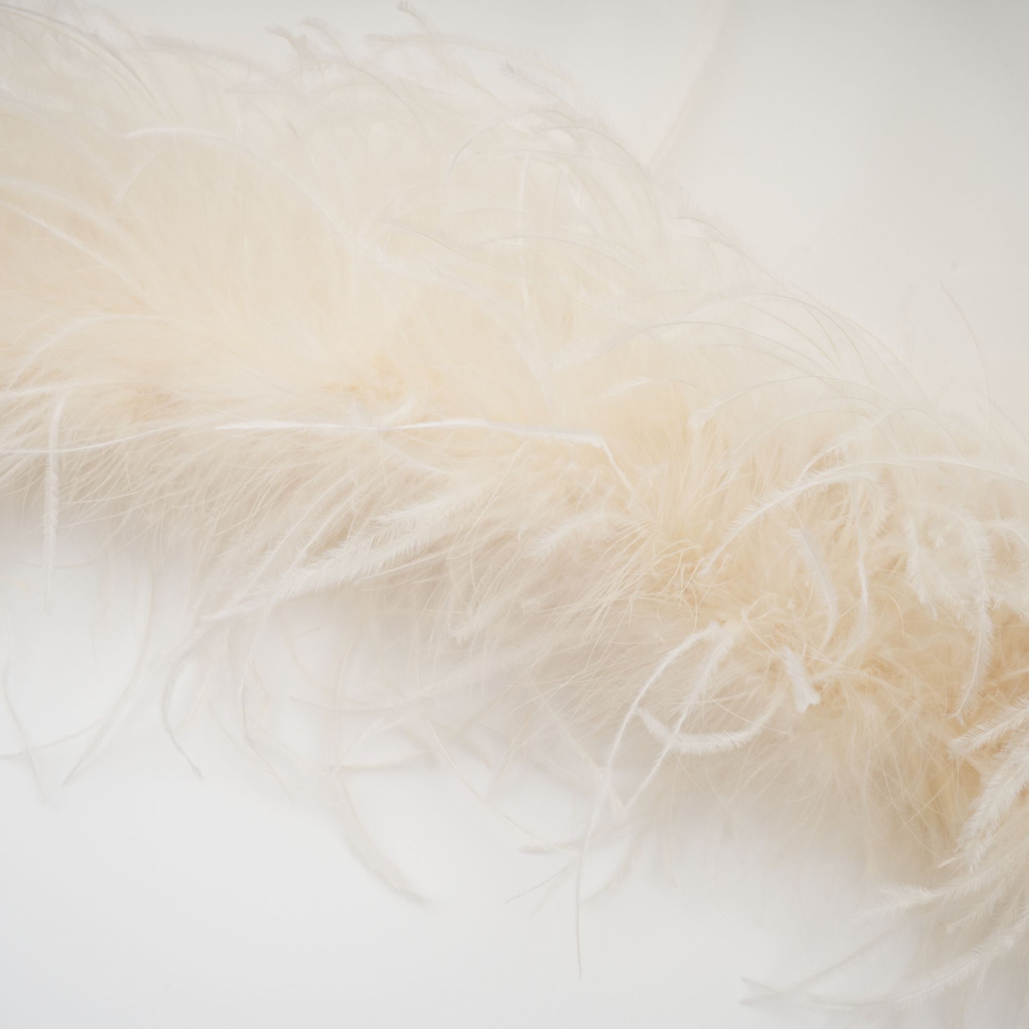 فستان قصير مزين بريش أبيض