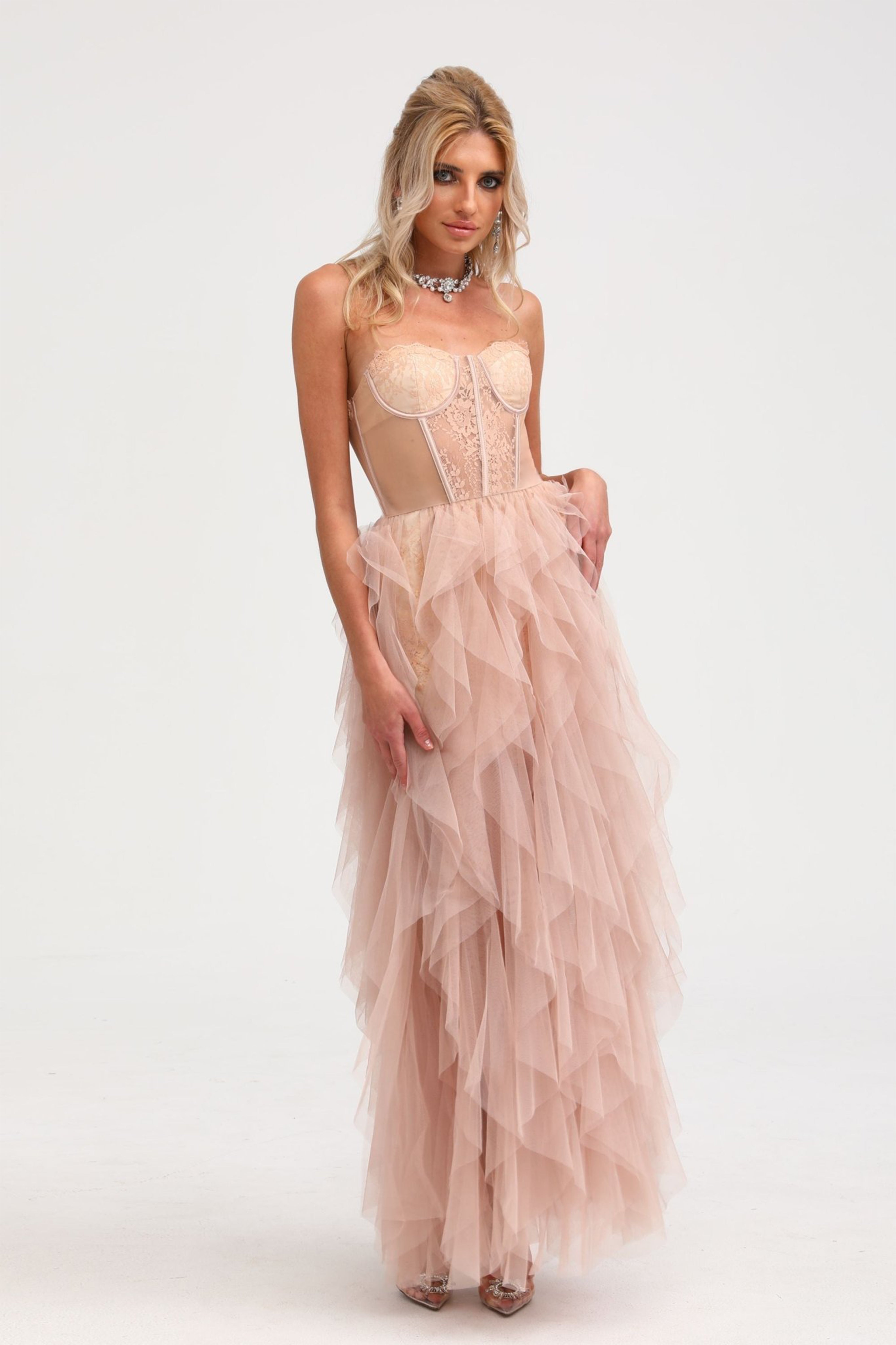 Eilís Pink Bustier Mesh Maxi Dress (Final Sale)