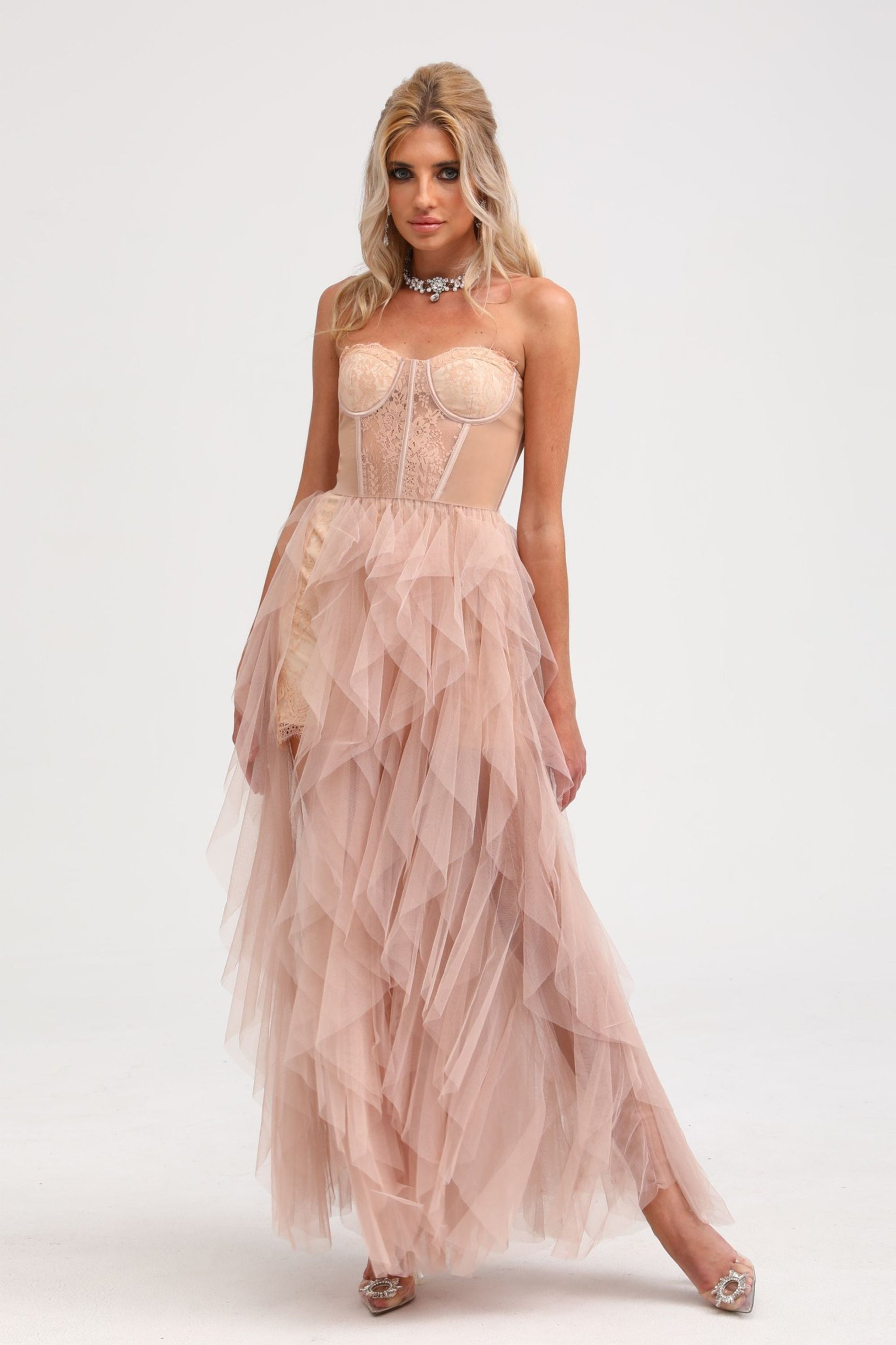 Eilís Pink Bustier Mesh Maxi Dress (Final Sale)