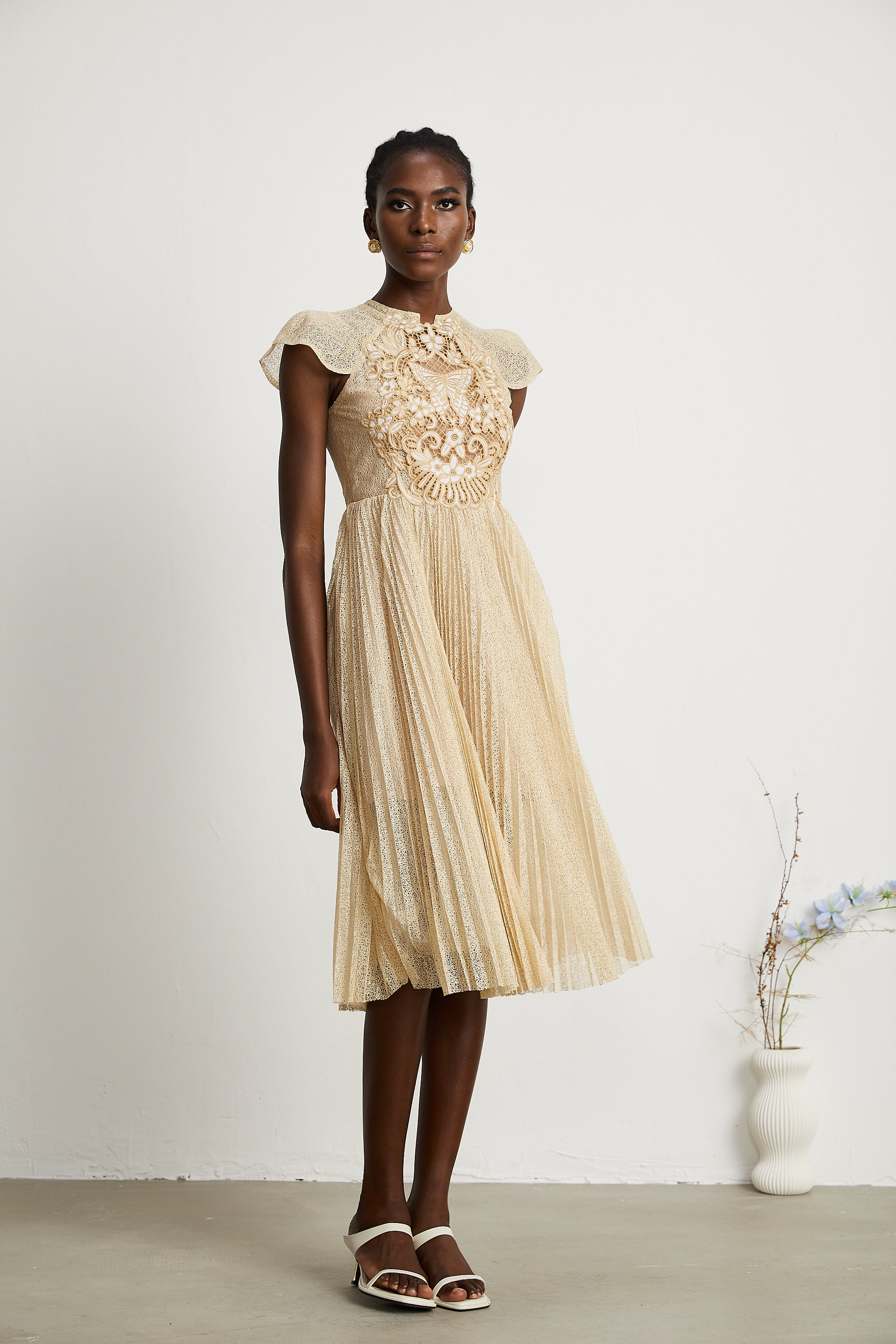 Nerissa embroidered pleated midi dress (Final Sale-US Only)