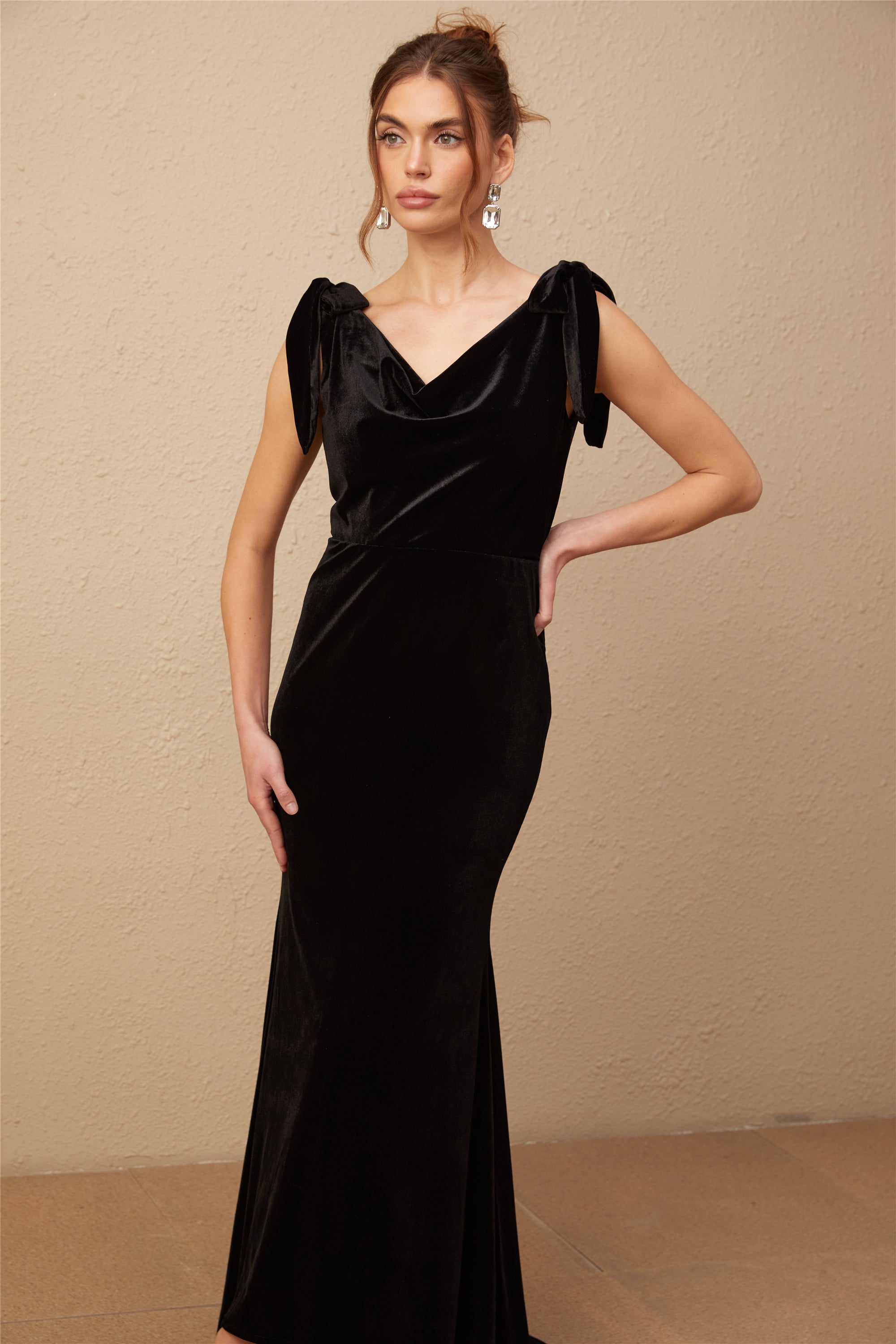 Audrey embellished velvet open-back maxi dress (Final Sale)