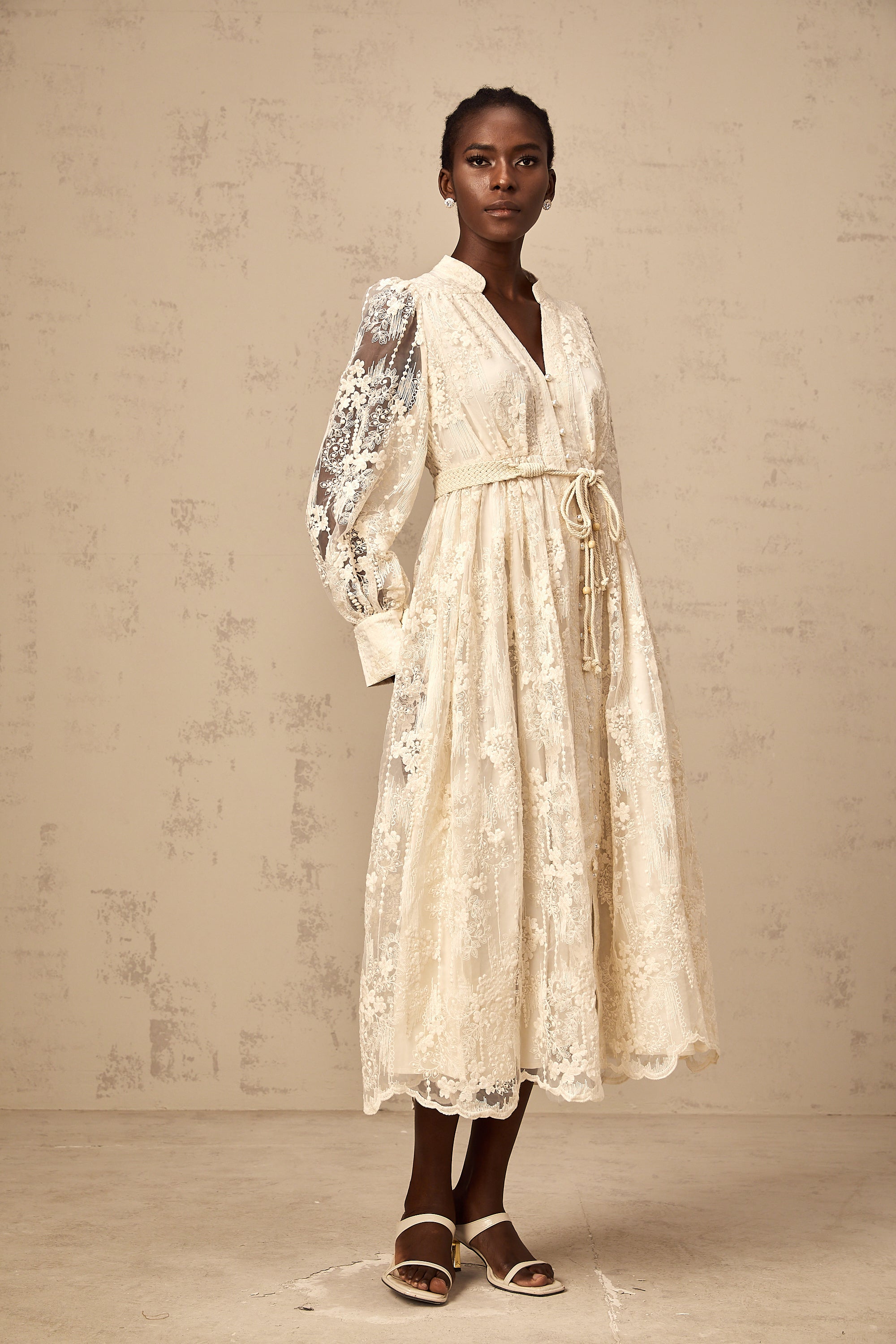 Roxane neutrals lace-embroidered midi dress (Final Sale-US Only)
