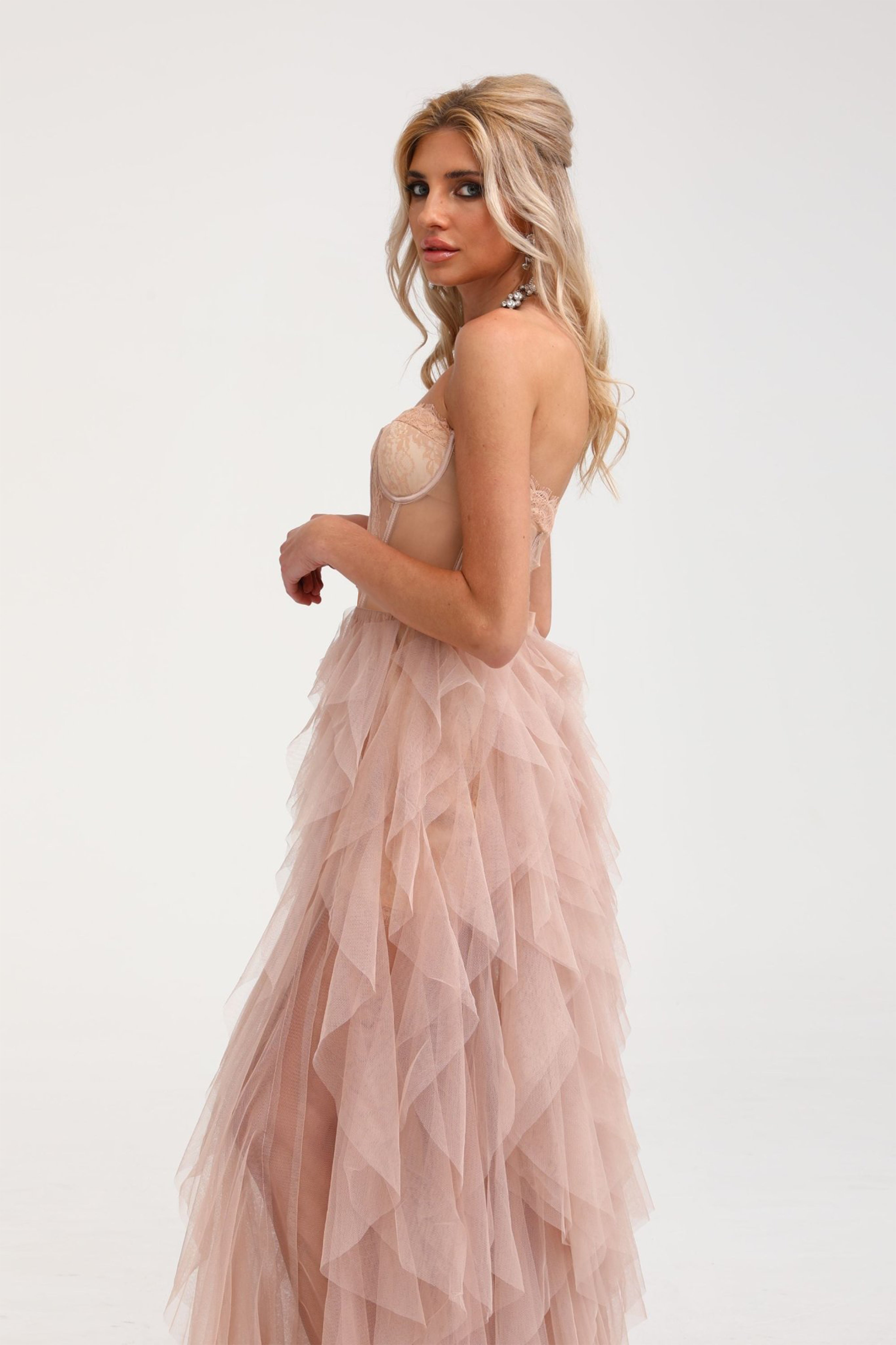 Eilís Pink Bustier Mesh Maxi Dress (Final Sale)