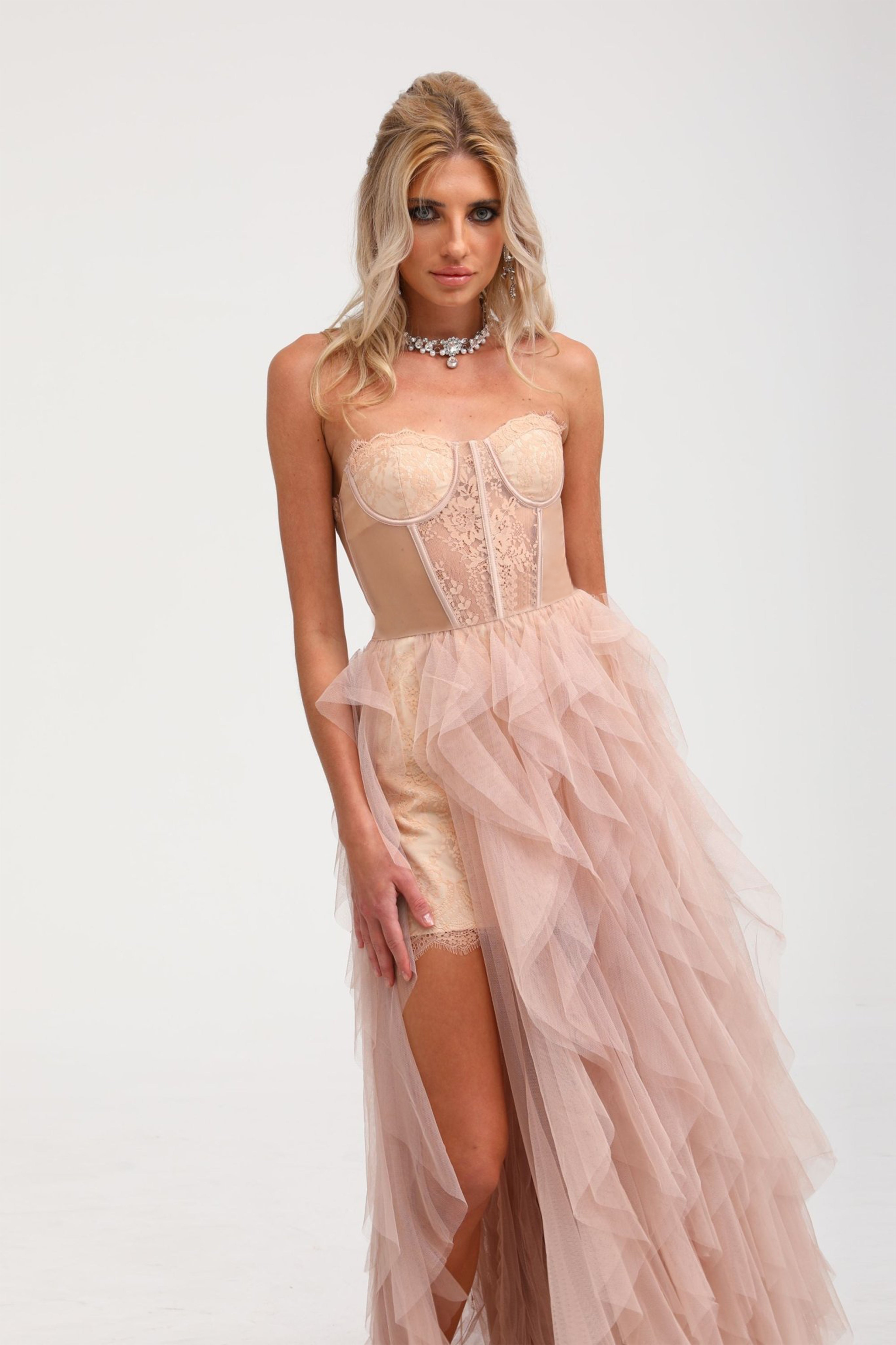 Eilís Pink Bustier Mesh Maxi Dress (Final Sale)