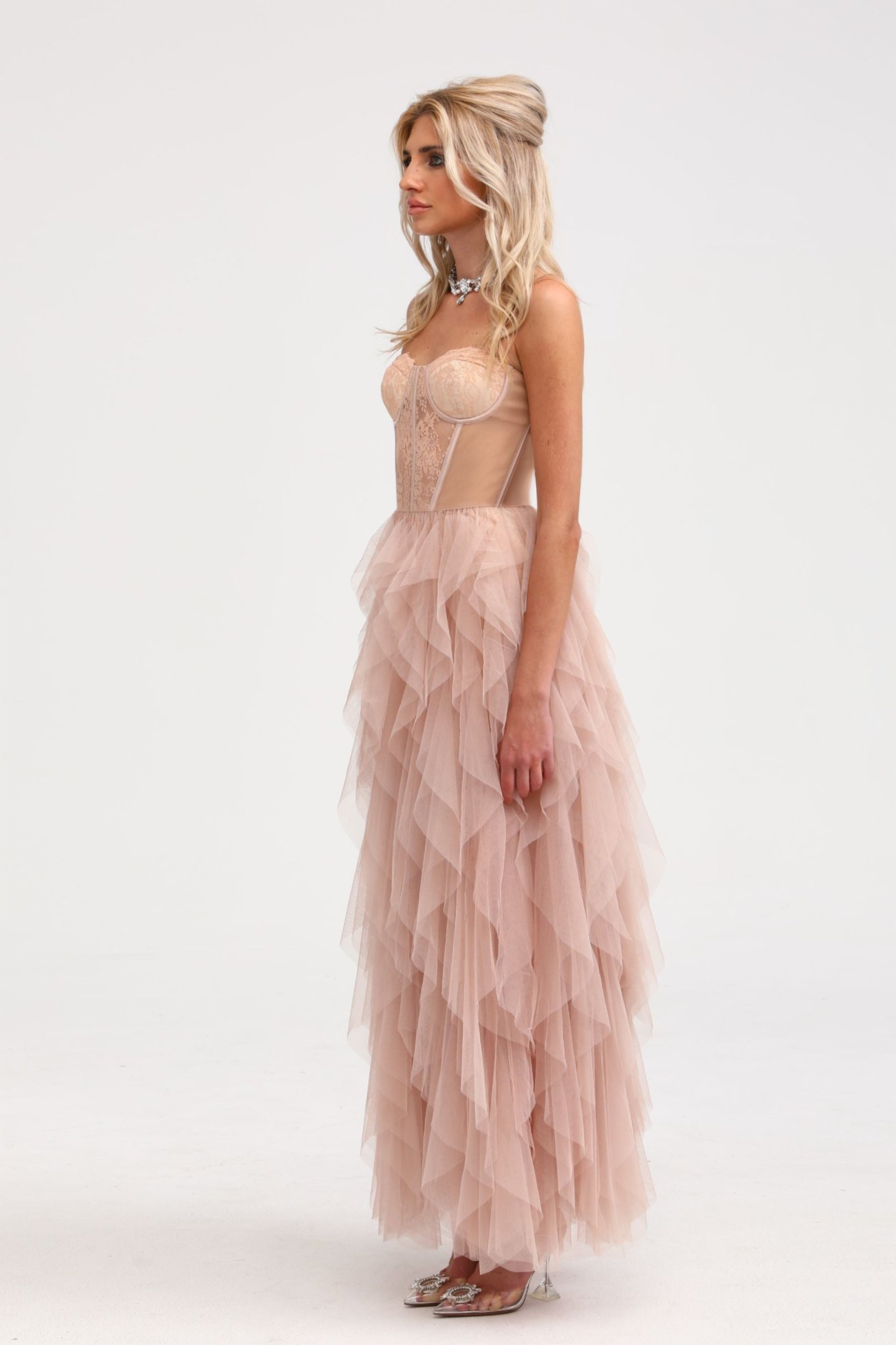Eilís Pink Bustier Mesh Maxi Dress (Final Sale)